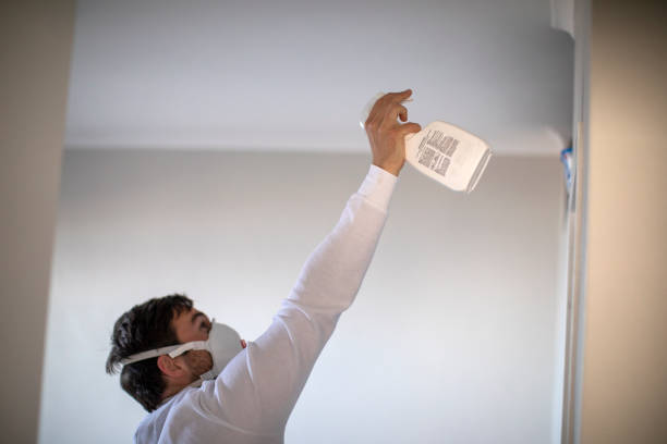 Best Mold Remediation  in Church Hill, PA