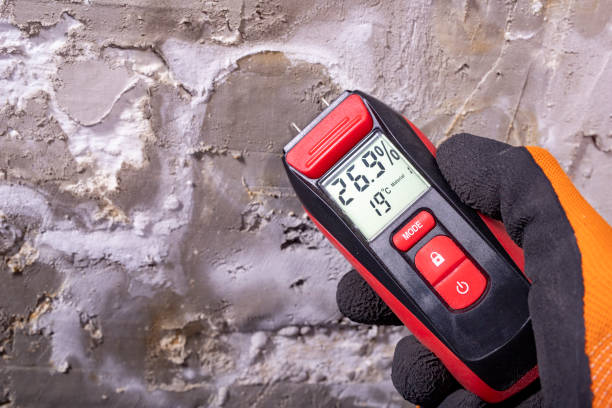 Best Mold Removal Company Near Me  in Church Hill, PA