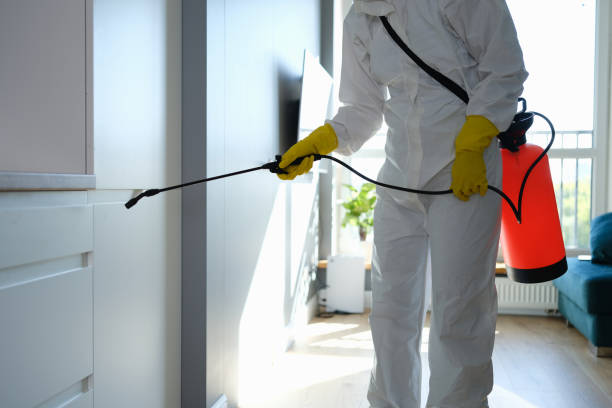 Best Black Mold Removal  in Church Hill, PA